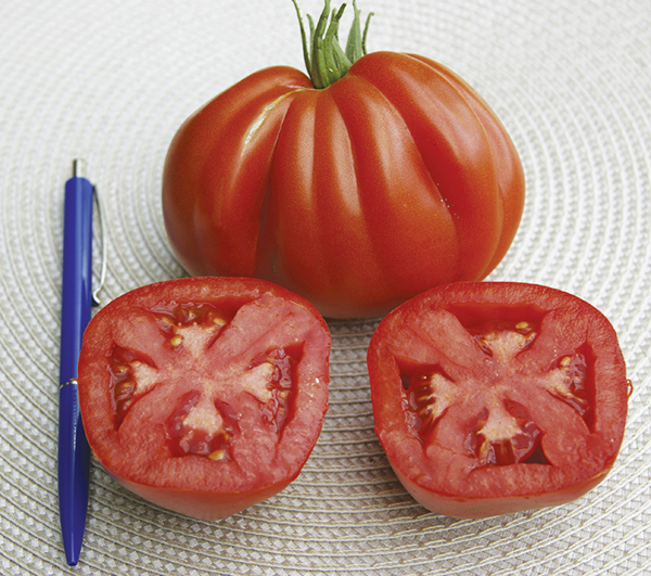 Corazon F1 — Ochsenherz-Tomate aufgeschnitten